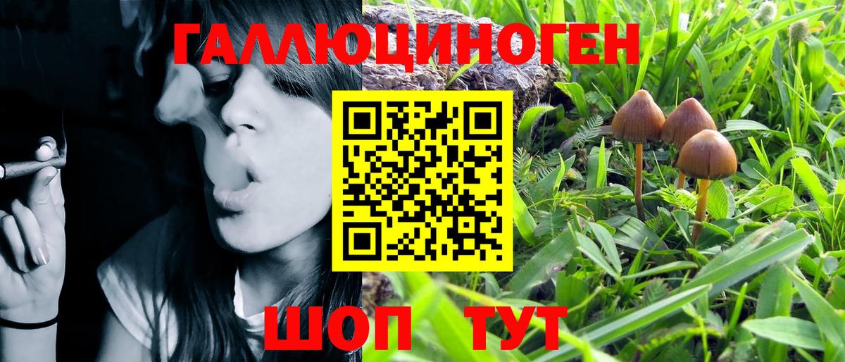 Видное  Псилоцибиновые грибы Psilocybe  Вход с VPN  Псилоцибиновые грибы мицелий 